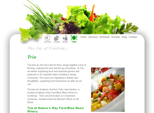 Link to Tria Culinary studio website design